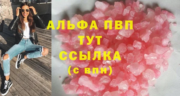 прущие грибы Абаза